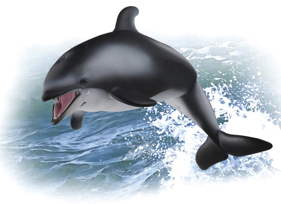 Takara Tomy Ania AS-19 White-Faced Dolphin Realistic Toy Suitable Ages 3 and Up Safety Certified- Japan Figure Store - #1 Bring To You The Best Japanese Goods
