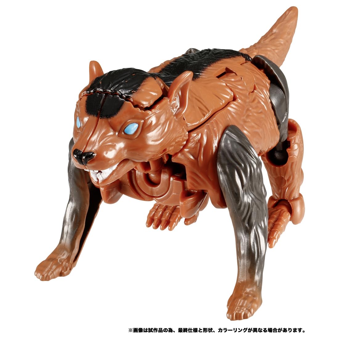 Takara Tomy Legacy Transformers TL-61 Tasmanian Kid Toy- Japan Figure Store - #1 Bring To You The Best Japanese Goods