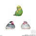 Bandai Tenori Friends 10-12Pc Candy Toy Box From Japan- Japan Figure Store - #1 Bring To You The Best Japanese Goods
