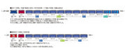 Tomytec Tomix N Gauge Hakkoda Additional Set A 14 Series JR 98742 Railway Model Passenger Car- Japan Figure Store - #1 Bring To You The Best Japanese Goods