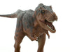 Tyrannosaurus Soft Model Fdw-001 - Favorite- Japan Figure Store - #1 Bring To You The Best Japanese Goods