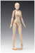 WAVE Sr021 Movable Body Female Type Standard 1/12 Scale Kit- Japan Figure Store - #1 Bring To You The Best Japanese Goods