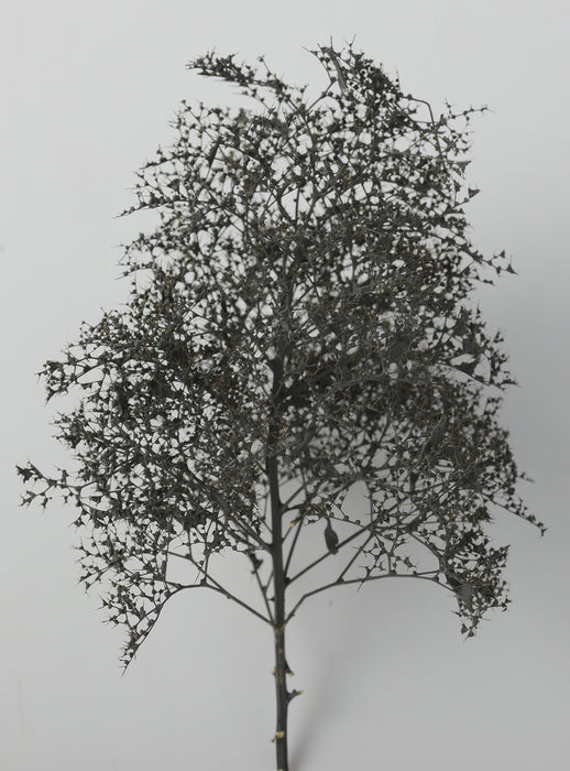Kato Woodland Scenics Natural Black Trees 24-368 Model Railway Supplies- Japan Figure Store - #1 Bring To You The Best Japanese Goods