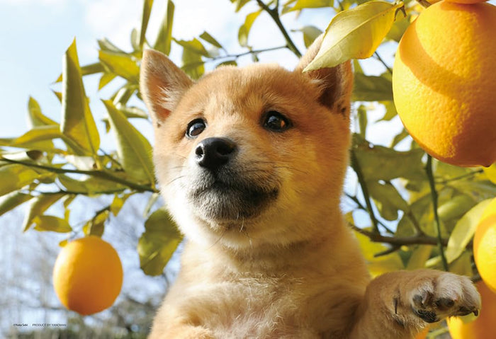 Yanoman 108pc Jigsaw Puzzle Kun-Kun 26x38cm- Japan Figure Store - #1 Bring To You The Best Japanese Goods