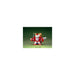 #Bandai Sd #Gundam Bb Fighter Sd Sengokuden Tenkatouitsu Super Deformed Shishi #Gundam Model Kit Figure Japan Figure 4902425334660 1