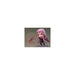 #Good Smile Company Nendoroid Fate/Stay Night[Heaven'S Feel] Rider Figure - New Japan Figure 4580590122574 4
